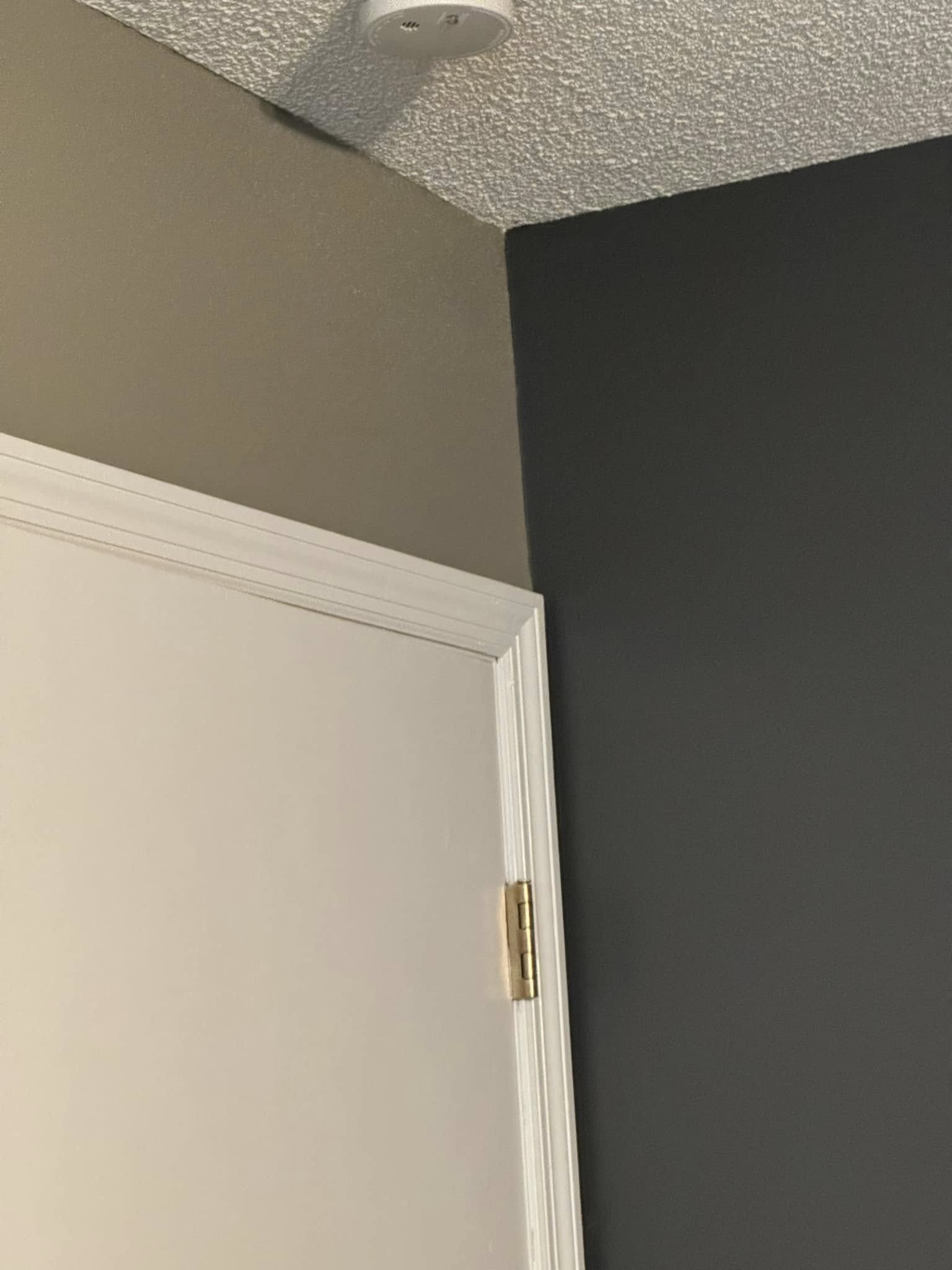 Professional Interior Wall Painting