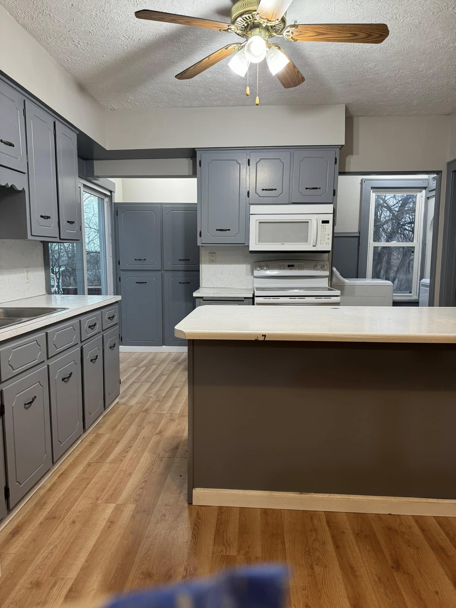 Professional Kitchen Cabinet Painting