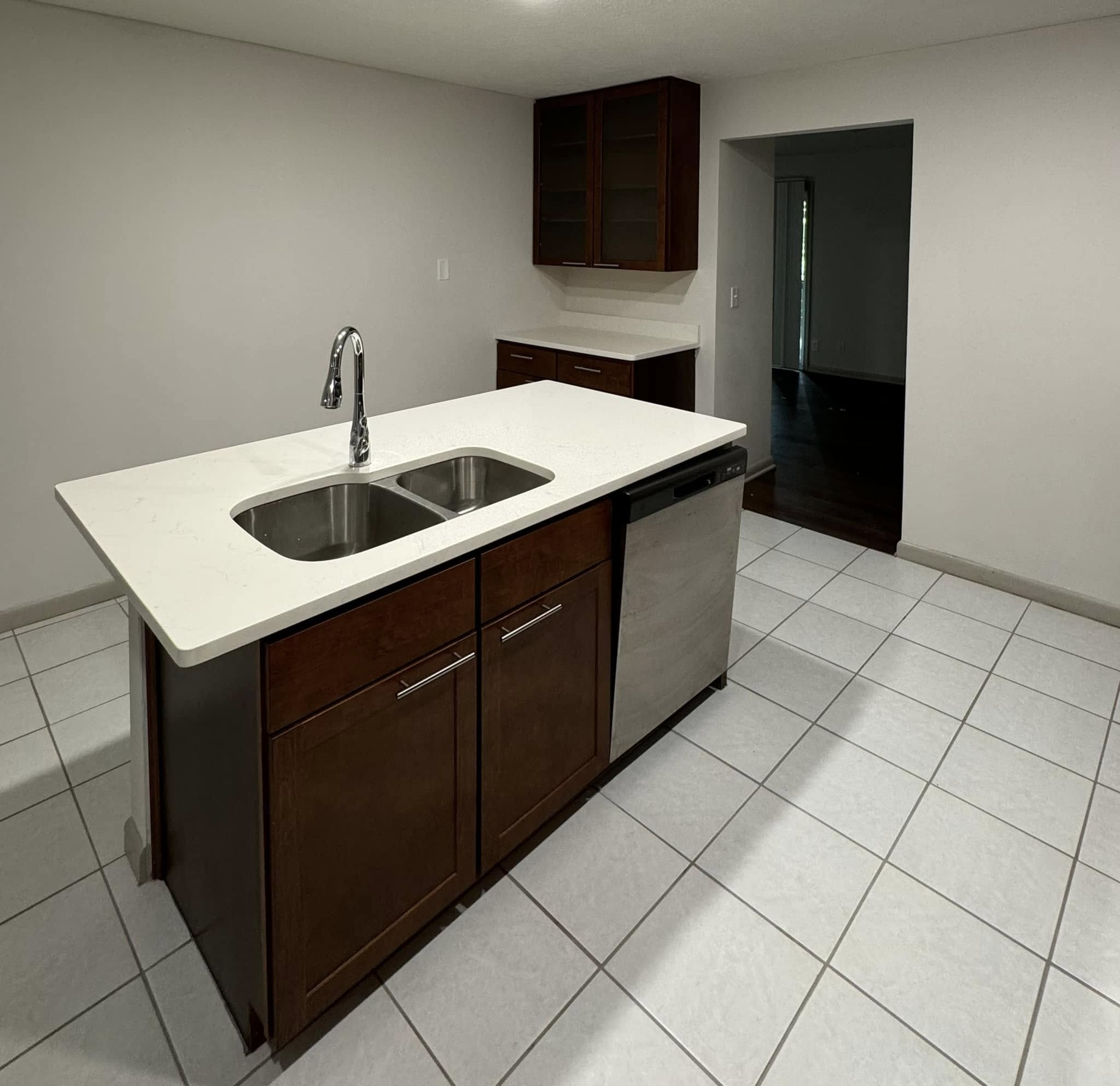 Modern Kitchen Renovation